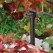 4 mm Barb x Spout 1 gph Polypropylene Black Pressure Compensating Spike Dripper | ANT30745