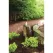 10" x 24" Natural Mongolian Basalt Column | AQS58038