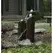 Mongolian Basalt Column Landscape with Set of 3 Fountain Kit | AQS58089