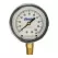 0 to 300 psi 2-1/2" Dial 1/4" NPT Liquid Filled Pressure Gauge | CSTTGLF30025
