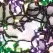 66.7' L 4" Spacing RGB Premium Light Set | HBLTWPRO200STPG