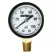 0 to 100 psi 2" Dial 1/4" NPT Lead-Free Lower Pressure Gauge | MRLPG100