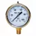 0 to 100 psi 2-1/2" Dial 1/4" NPT Lead-Free Liquid Filled Lower Pressure Gauge | MRLPGL100