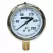 0 to 200 psi 2-1/2" Dial 1/4" NPT Lead-Free Liquid Filled Lower Pressure Gauge | MRLPGL200