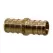 1" PEX Lead-Free Bronze Insert Coupling | PXFCP010BZ
