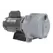 Pearl, Thor Centrifugal Sprinkler Water Pump, 1.5 hp 115/230 V | THOR15F16S