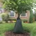 20 Gallon For Up to 4" Dia Trees Trunks Sapling Soaker | SRWTREEBAG20