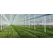10 lb TM 4.5F Select, Broad Spectrum Systemic Fungicide
