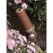 5 W 2800K LED Bronze Impressionist Series Directional Light | CSLCID140