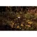Bronze Metallic Die-Cast Aluminum 24" Riser Path Light | FXLDRNL24RBZ