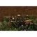 3 W GU4 LED Black Die-Cast Zinc/Aluminum MP Series Up Light | FXLMPLED203FLFB