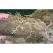 40 lb Granular Light Brown Soil Amendment