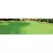 2.5 Gallon Liquid Natural Green 8000 to 12000 sq-ft Coverage Lawn Paint | GREENLAWNGER025G