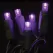 2.4 W per Set 26' Purple Commercial Grade LED Light Set | HBLLED5MM50PL
