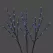 32" L Pure White Blue LED Low Voltage 3-Set Twing Light | HBLLEDTWIG60BWF
