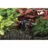 Hunter MSBN Multi-Stream Bubbler Nozzle Full Circle | MSBN10F