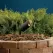 7.2 W Bi-Pin Halogen Textured Architectural Bronze Aluminum Mini Accent Light | KIC15384AZT24