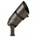 12 W 2700K Integrated LED Centennial Brass 60 Degrees Wide Flood Large Adjustable Accent Light | KIC16020CBR27