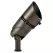 12 W 3000K Integrated LED Centennial Brass 60 Degrees Wide Flood Large Adjustable Accent Light | KIC16020CBR30