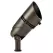 12 W 3000K Integrated LED Centennial Brass 35 Degrees Flood Large Adjustable Accent Light | KIC16019CBR30