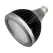 17 W Bi-Pin PAR38 80 850 Lumens 3000K Professional Series LED Lamp | KIL18097
