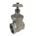 1" FPT 304 Stainless Steel 200 psi LGT Series Lead-Free Gate Valve | LEMLGT11SS304X