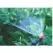 90 Degrees Quarter Circle 16.8 - 27 gph Green C Series 1-Piece Spray Fan Jet | MCJ3003G