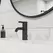 1/2" NPSM 6-11/16" Metal Matte Black Single Control Contempra Series Bathroom Faucet | PPFLG42NB00