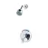 1/2" NPSM 2-19/32" Zinc Polished Chrome Standard 1-Handle Pfirst Series Shower Only Trim | PPFLG890200