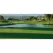 1 qt Liquid Green Pond Dye | SSCTURFMARKGQT