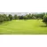 1 qt Liquid Blue Pond Dye | SSCTURFMARKBQT