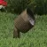 LED Black Die-Cast Copper-Free Aluminum Landscape Series 3003 Model Flood Beam Low Voltage Medium Shroud Up and Accent Light | VISGR3003BWFLM