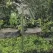 Weathered Bronze Spun Solid Copper/Brass Landscape Series Low Voltage Path Light | VISML4011WBNL