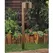 2.5 W Ceramic T3 LED Dark Bronze Die-Cast Copper-Free Aluminum Landscape Series Low Voltage Path Light | VISPR5202DZ25WT3
