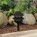Black Die-Cast Copper-Free Aluminum Landscape Series 6222 Model Low Voltage Path Light | VISPR6222BNL
