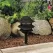 10 W Ceramic T3 Halogen Black Die-Cast Aluminum Landscape Series Path Light | VISPR6222B