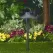 2.5 W Ceramic T3 LED Black Die-Cast Copper-Free Aluminum Landscape Series 6507 Low Voltage Path Light | VISPR6507B2WT3