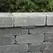 2.5 W LED Weathered Iron Landscape Series 4260 Series Step Light | VISSL4260WIWLB2N