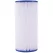 50 Micron 25 gpm White PWPL Series Sediment Filter | WAP7100418