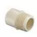 1" MIPT x Socket Tan CPVC Adapter | 4136010