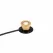 Underwater Light, 6 W 2700K Integrated LED Natural Brass Die-Cast C360 Brass Zoning/Color Changing