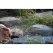 40" x 36" x 10" Desert Fiberglass Rock Lid | AWGRL70D