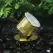 5 W LED Natural Brass Solid Brass Landscape 2115 Series Underwater Light | VISUW2115BSNLB5