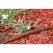Rain Bird XFD Dripline 500' 0.92 gph 12" Emitter Spacing 16 mm Brown | X44032