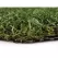 15' 3/4" Pile Field Green/Olive Green Blade Nutmeg/Olive Green Thatch Pet Friendly Artificial Turf | EZTCSL28ONP