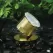 5 W Ceramic Integrated LED Natural Brass Landscape Series 2115 Model Under Water Light | VISUW2115BSNW5ND