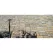 Belgard Stone Paver, 12" x 12" x 2-3/8"Large Square Victorian Urbana S | 10200732