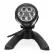 6 W 12 V 3000K Clear LED Spot Light | AQS84048