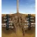 Barb 0.25 gpm Root Watering System | RBLRWSSB1401