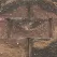 8" x 17-1/2" x 12" Harvest Diamond Pro Legacy Retaining Wall | BEL16050396
